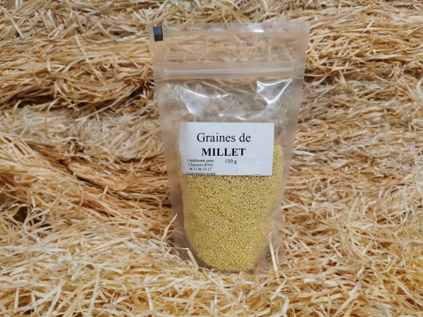 graines de millet 150g